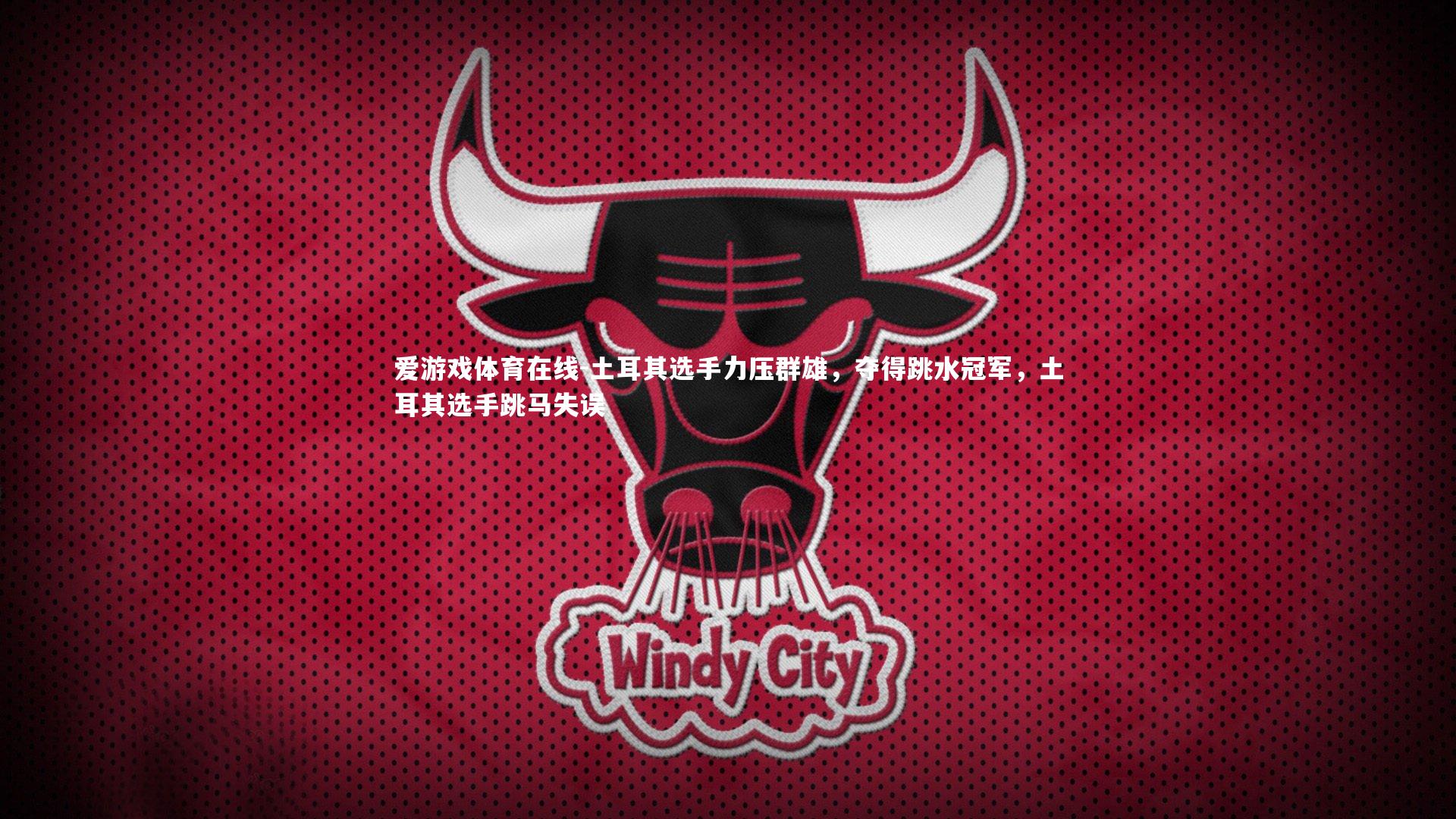 土耳其选手力压群雄，夺得跳水冠军，土耳其选手跳马失误