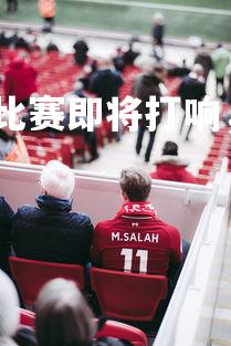 爱游戏体育在线-精彩比赛即将打响，球迷狂热支持，球赛锦集